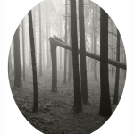 A. Perlick: Aus der Serie "Von der Lust am Wald"